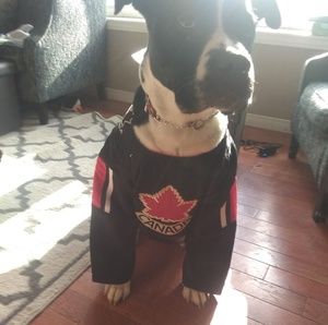 Meet your Posher, Oliver